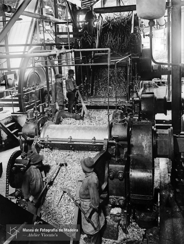 Cilindros de moer cana de açúcar da "Fábrica do Torreão", freguesia de Santa Luzia, concelho do Funchal - Entre 1920 e 1940